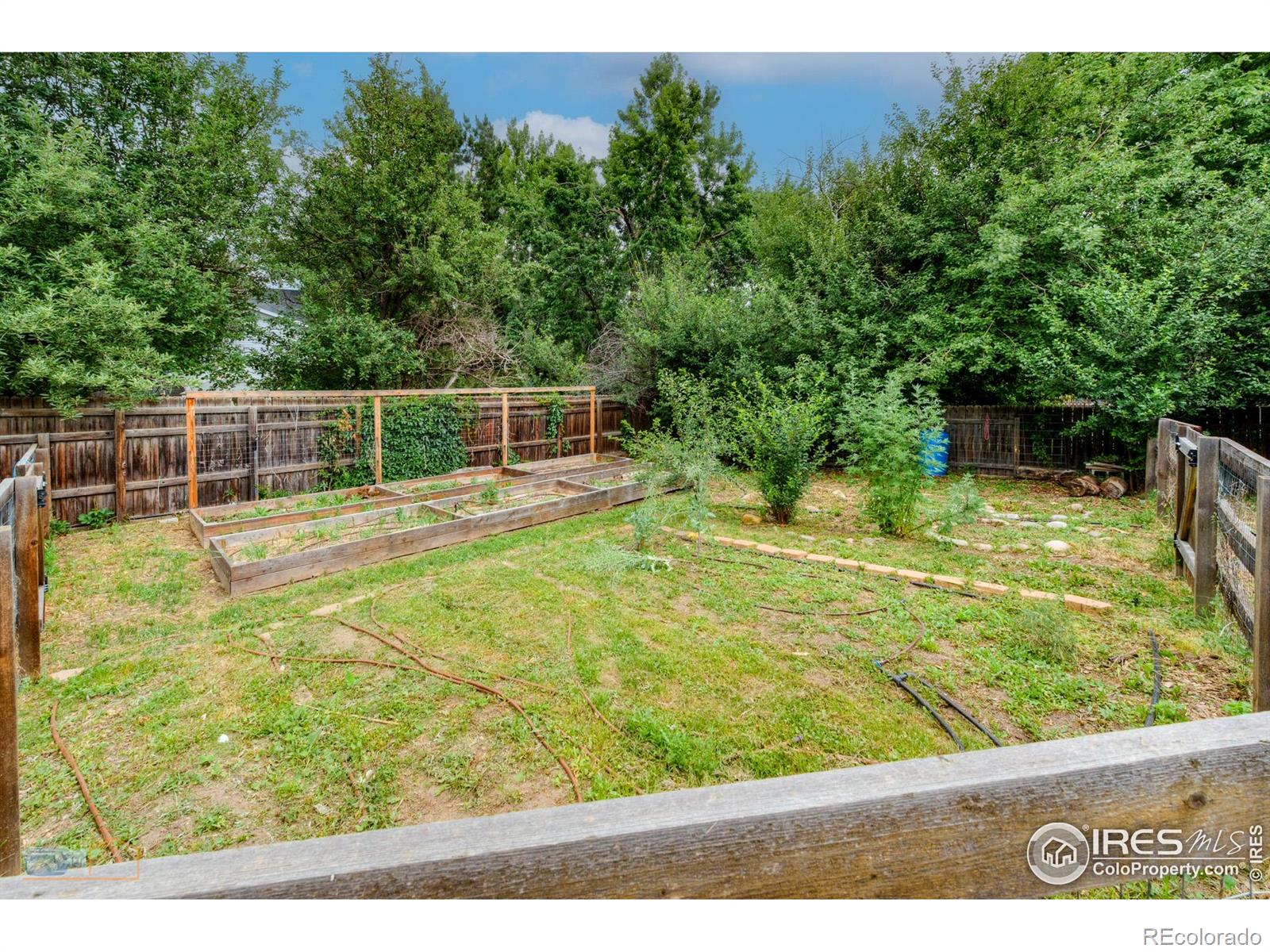 MLS Image #4 for 419  centennial drive,louisville, Colorado
