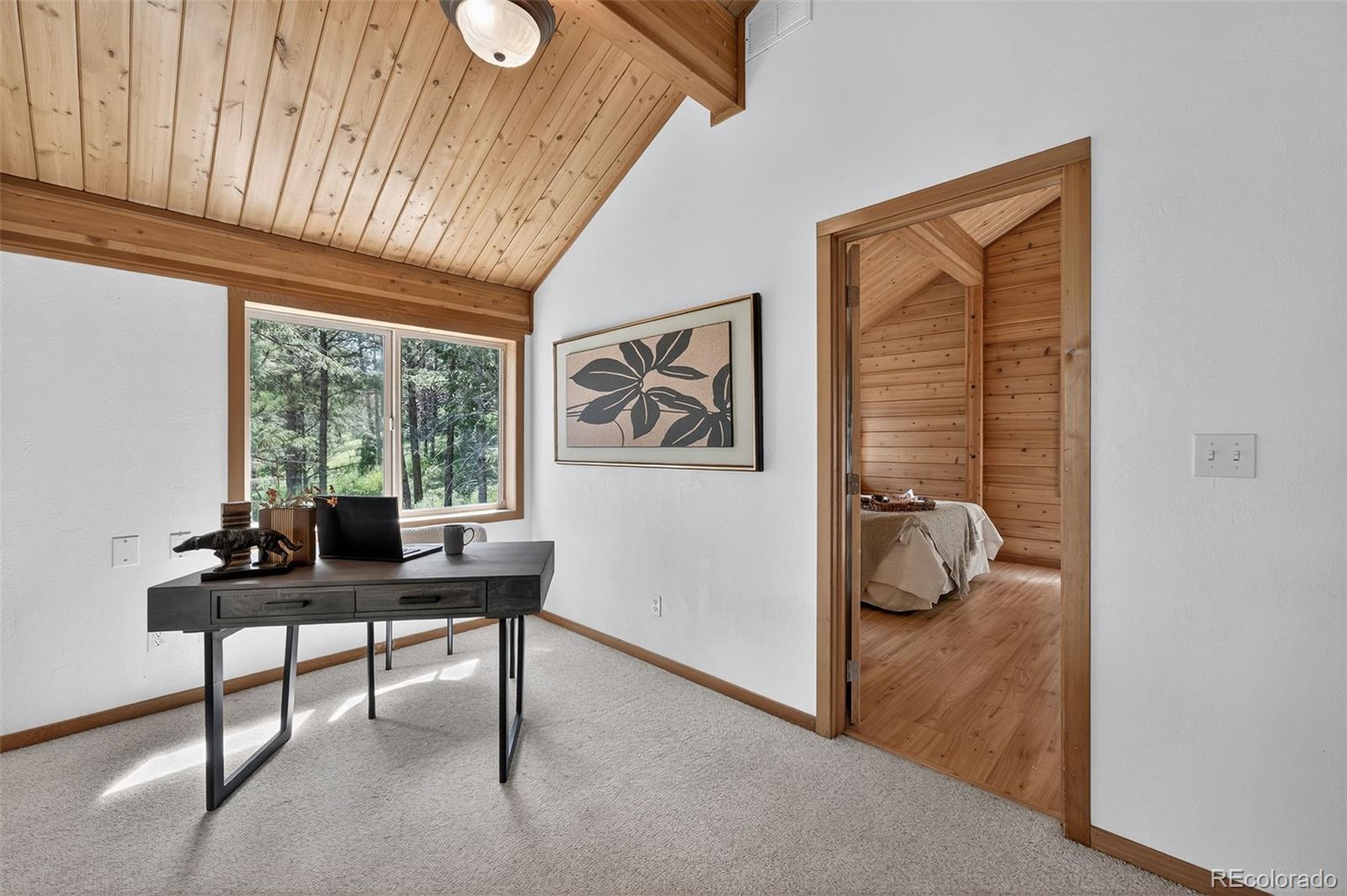 MLS Image #28 for 640  estes park estates drive,lyons, Colorado