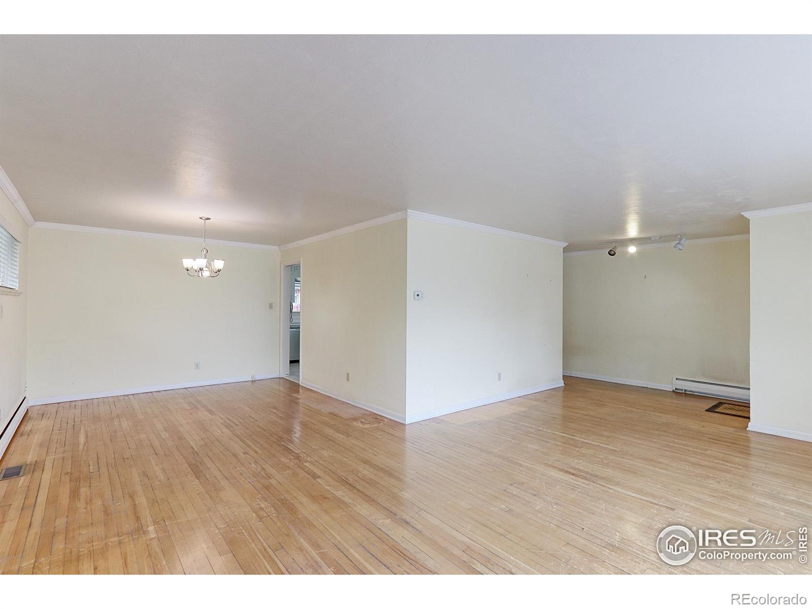 MLS Image #3 for 353 s niagara street,denver, Colorado