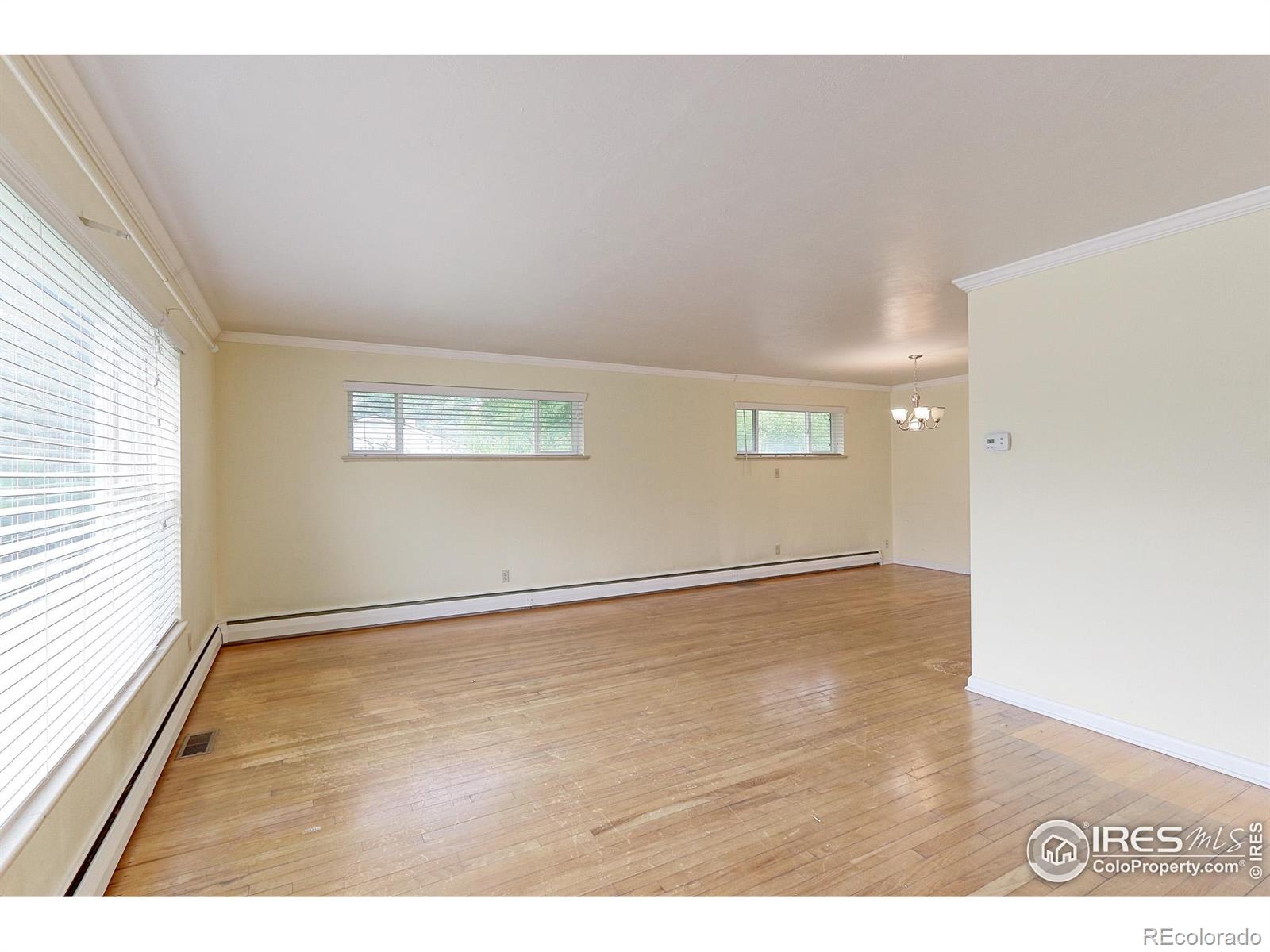 MLS Image #5 for 353 s niagara street,denver, Colorado