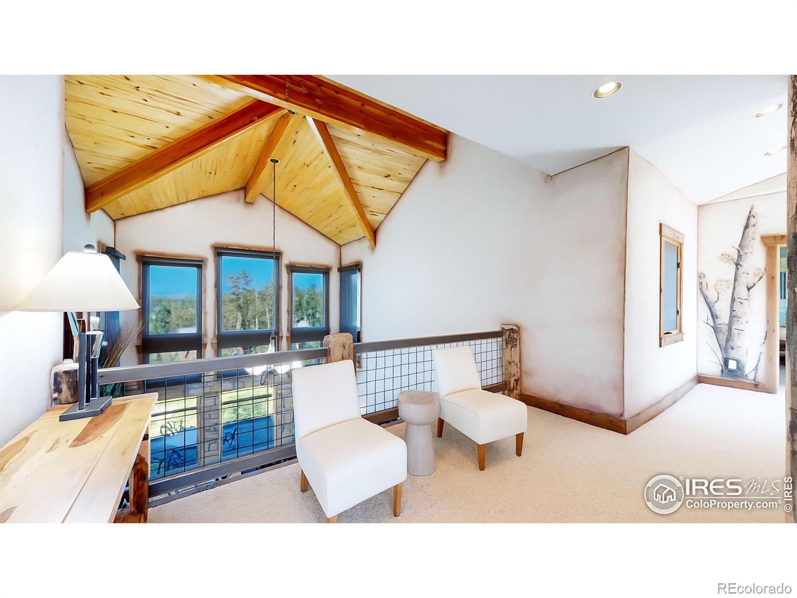 MLS Image #22 for 560  grand county road 662 ,grand lake, Colorado
