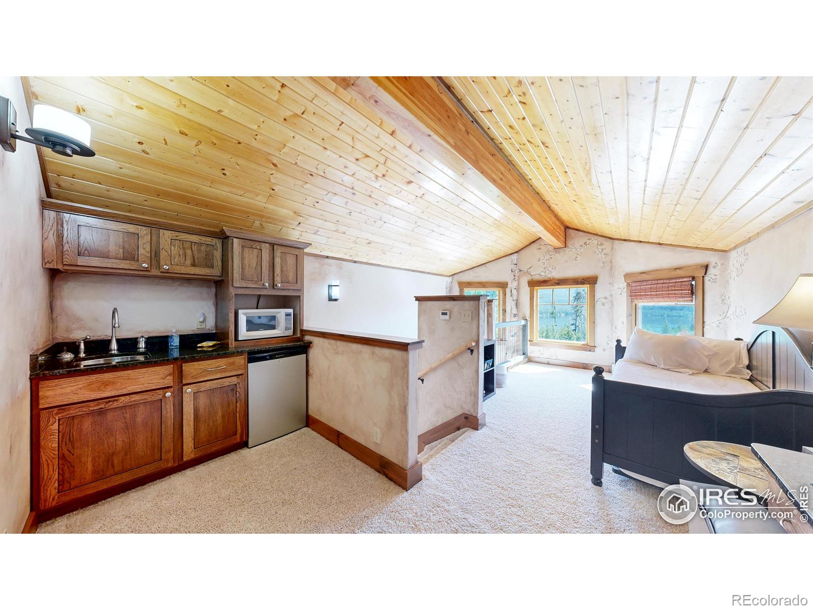 MLS Image #23 for 560  grand county road 662 ,grand lake, Colorado