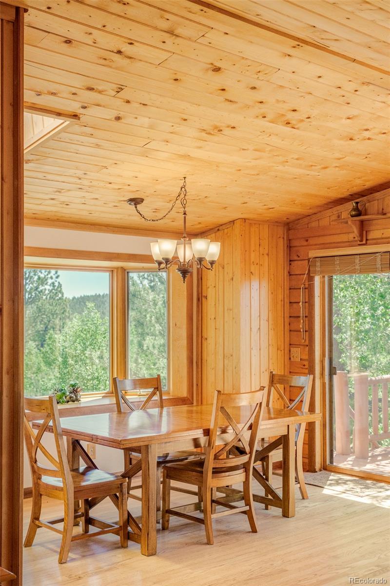 MLS Image #10 for 142  summit way,bailey, Colorado