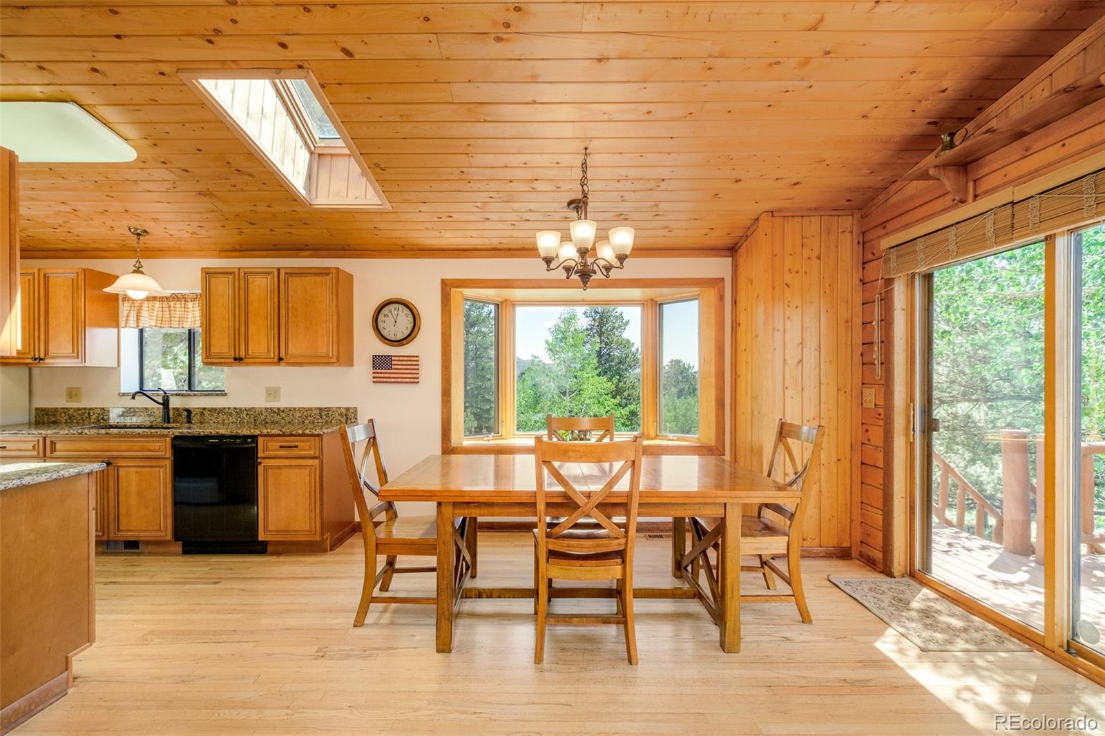 MLS Image #11 for 142  summit way,bailey, Colorado