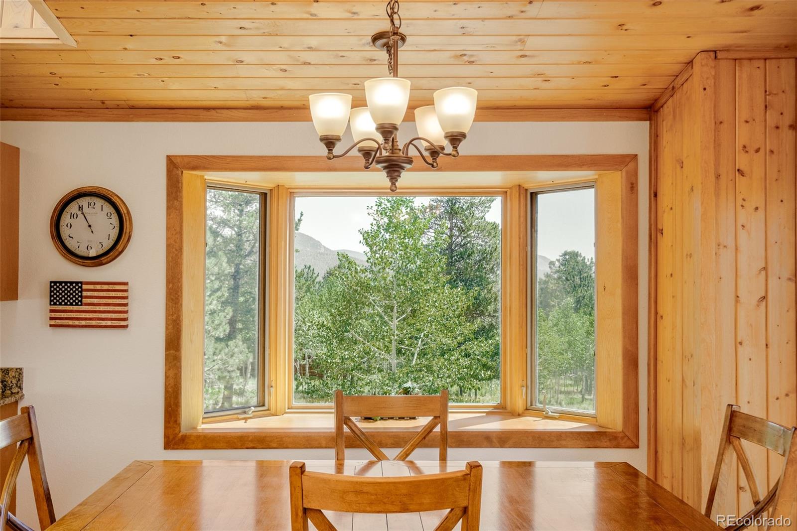 MLS Image #12 for 142  summit way,bailey, Colorado