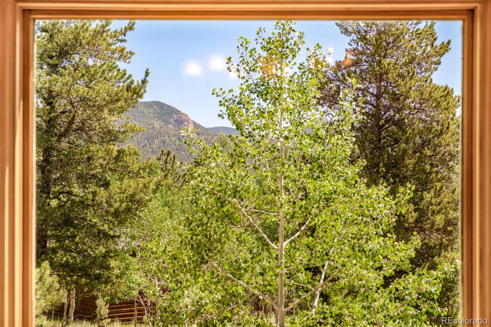MLS Image #13 for 142  summit way,bailey, Colorado