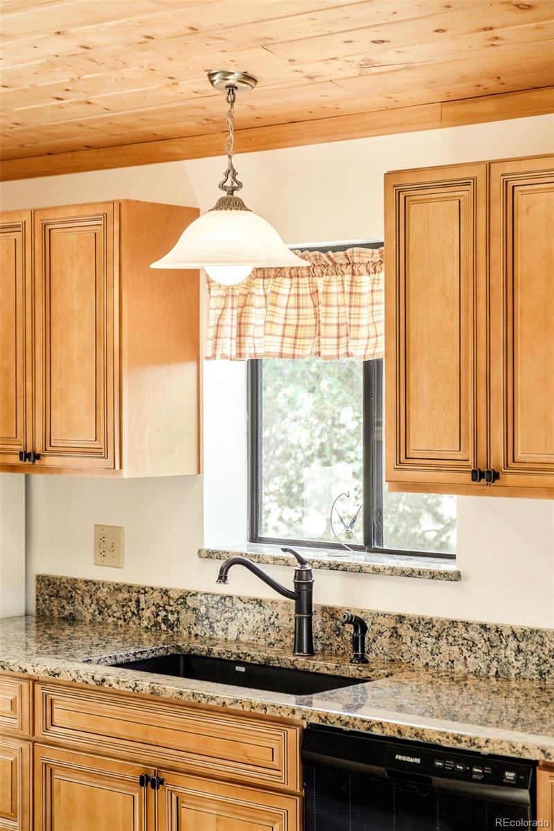 MLS Image #15 for 142  summit way,bailey, Colorado