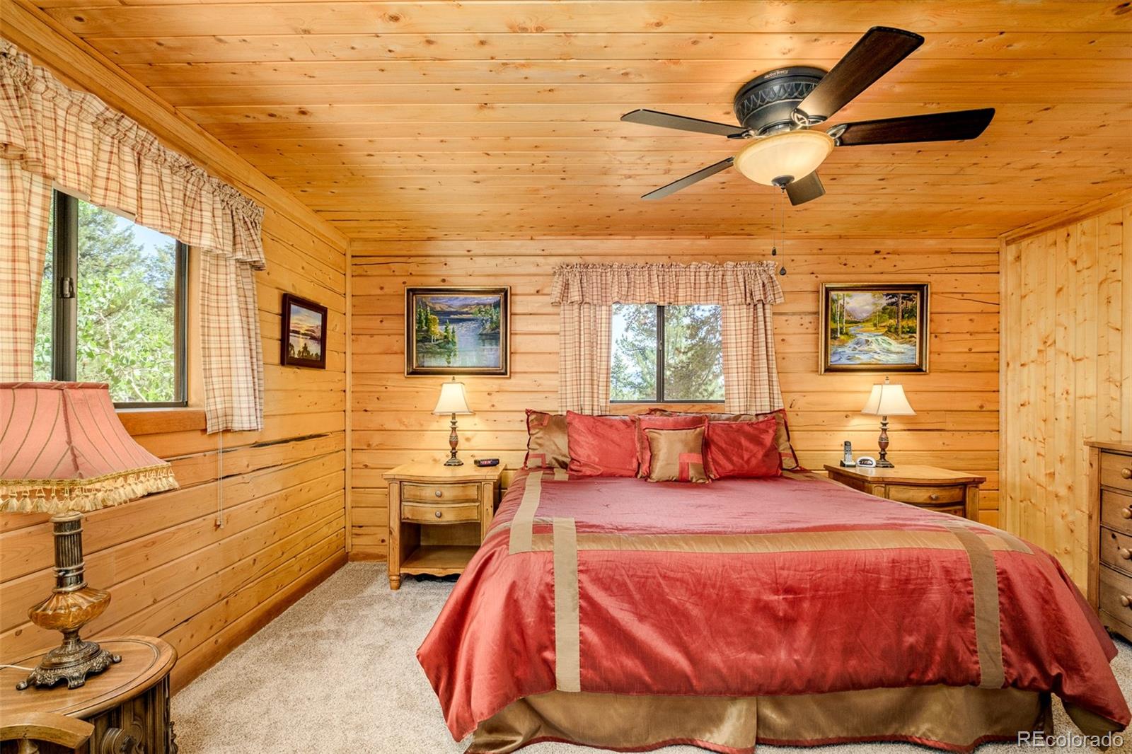 MLS Image #17 for 142  summit way,bailey, Colorado