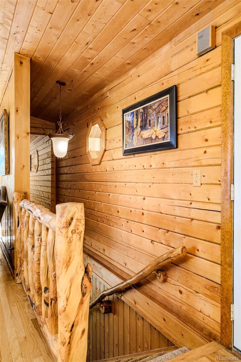 MLS Image #22 for 142  summit way,bailey, Colorado
