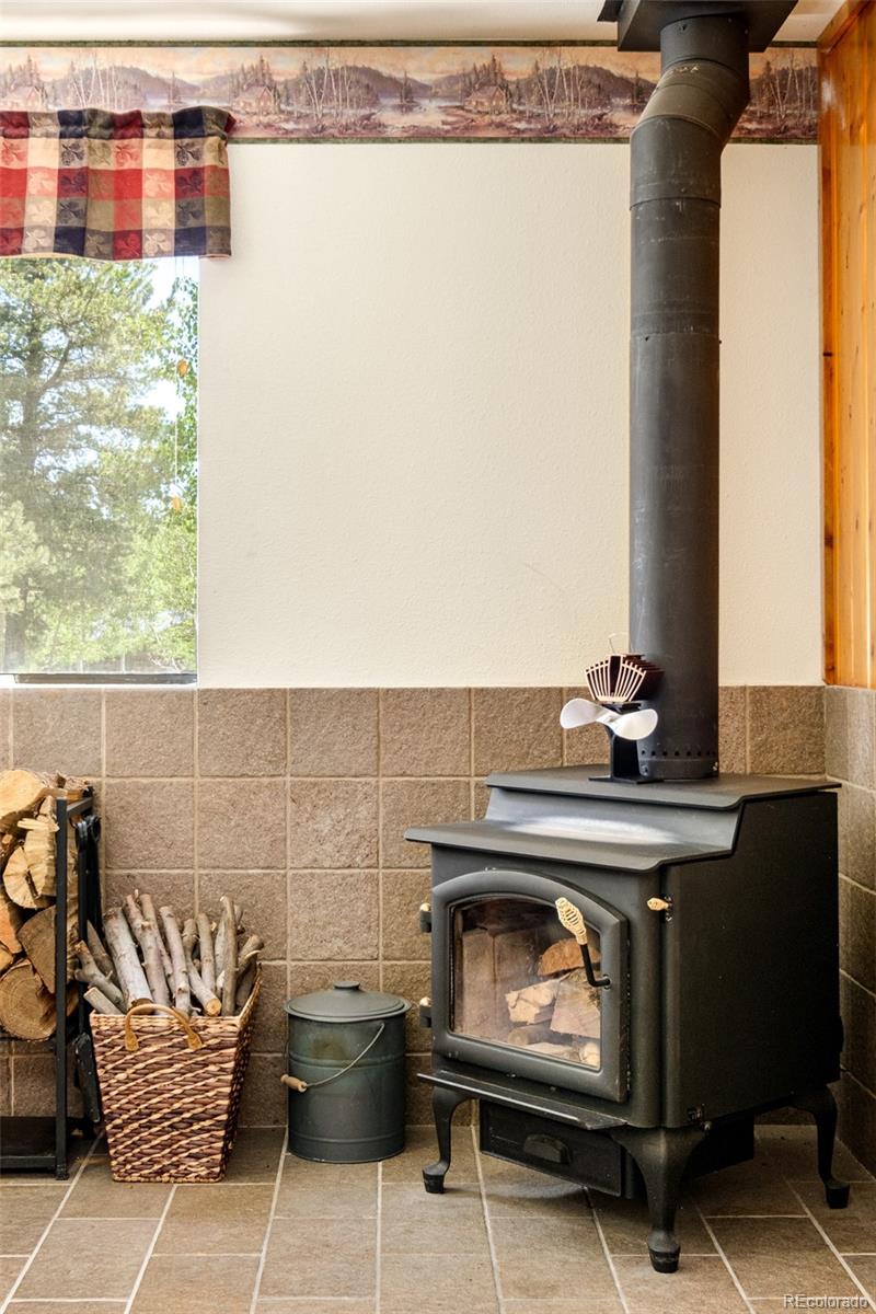 MLS Image #25 for 142  summit way,bailey, Colorado