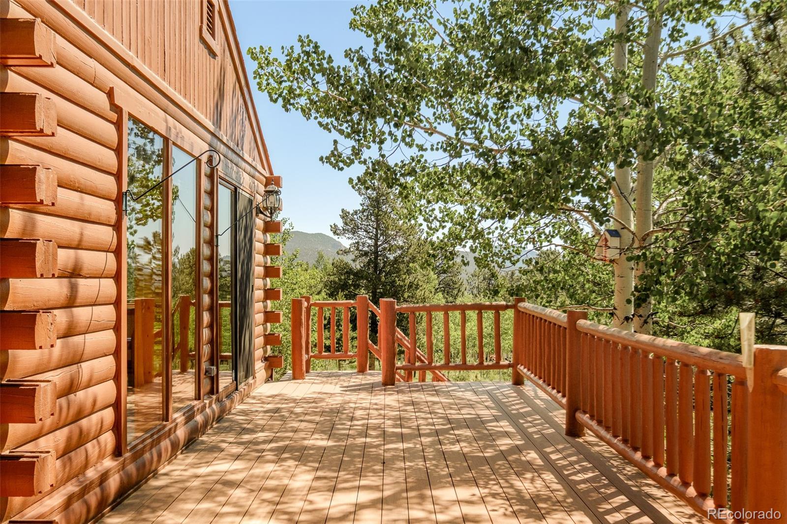 MLS Image #31 for 142  summit way,bailey, Colorado