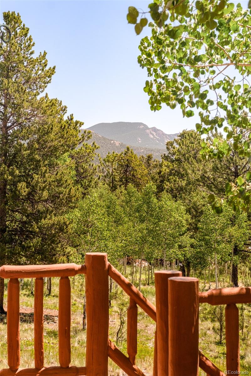 MLS Image #32 for 142  summit way,bailey, Colorado