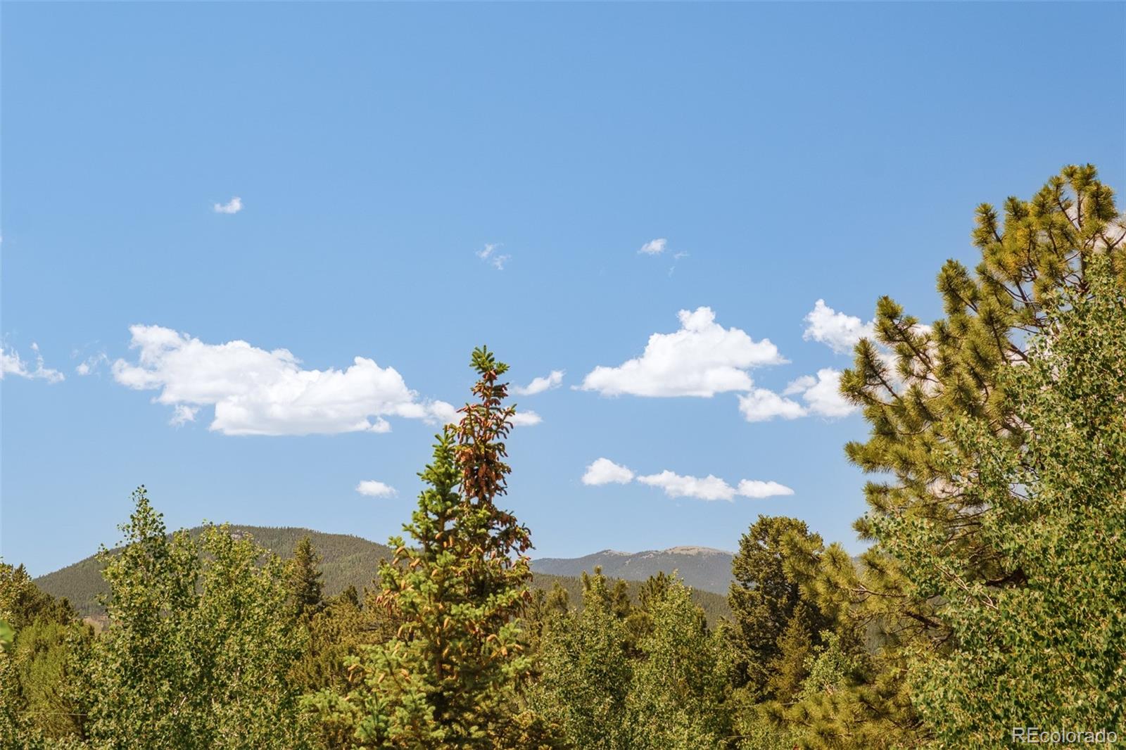MLS Image #33 for 142  summit way,bailey, Colorado