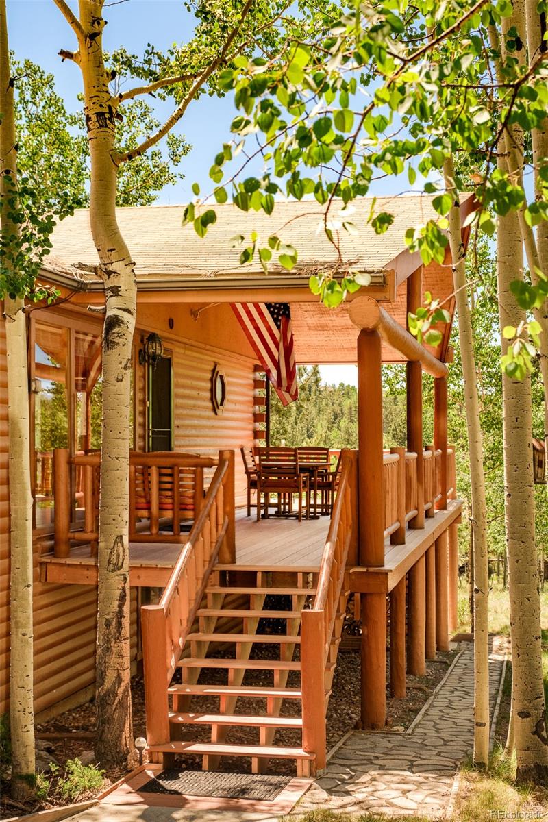MLS Image #4 for 142  summit way,bailey, Colorado