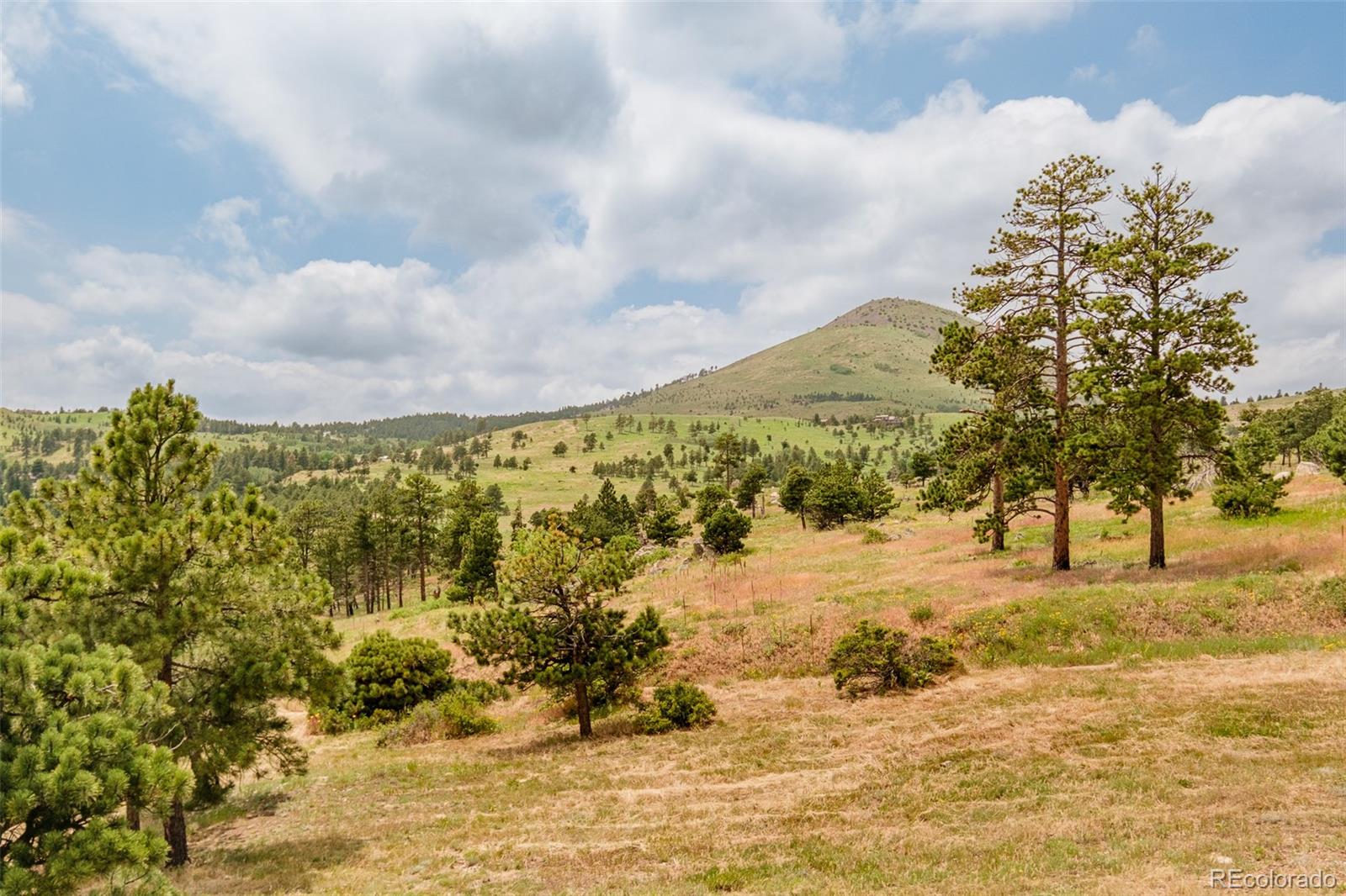 MLS Image #23 for 1414  mountain pines road,boulder, Colorado