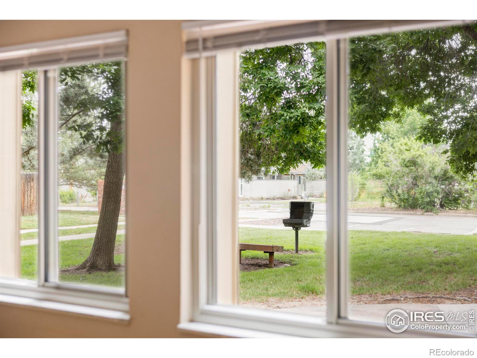 MLS Image #5 for 3393  madison avenue,boulder, Colorado
