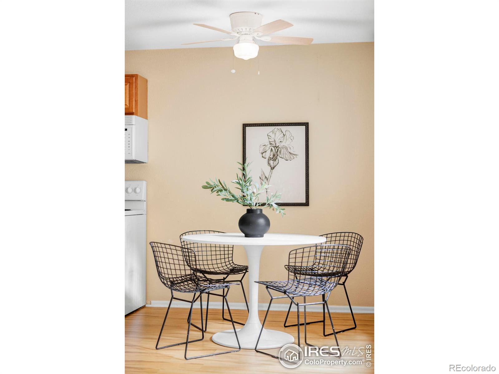 MLS Image #7 for 3393  madison avenue,boulder, Colorado
