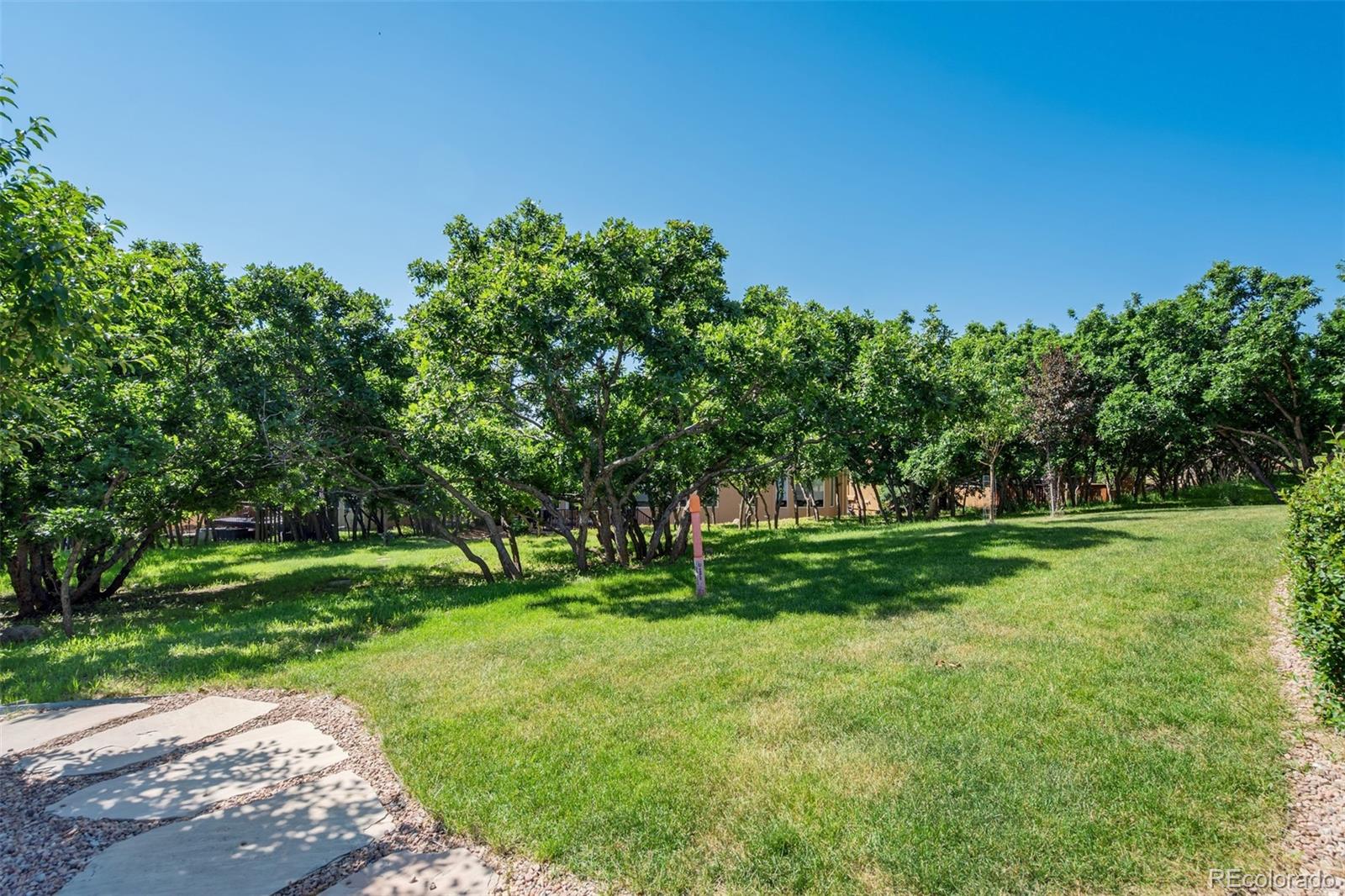 MLS Image #43 for 5015  broadmoor bluffs drive,colorado springs, Colorado