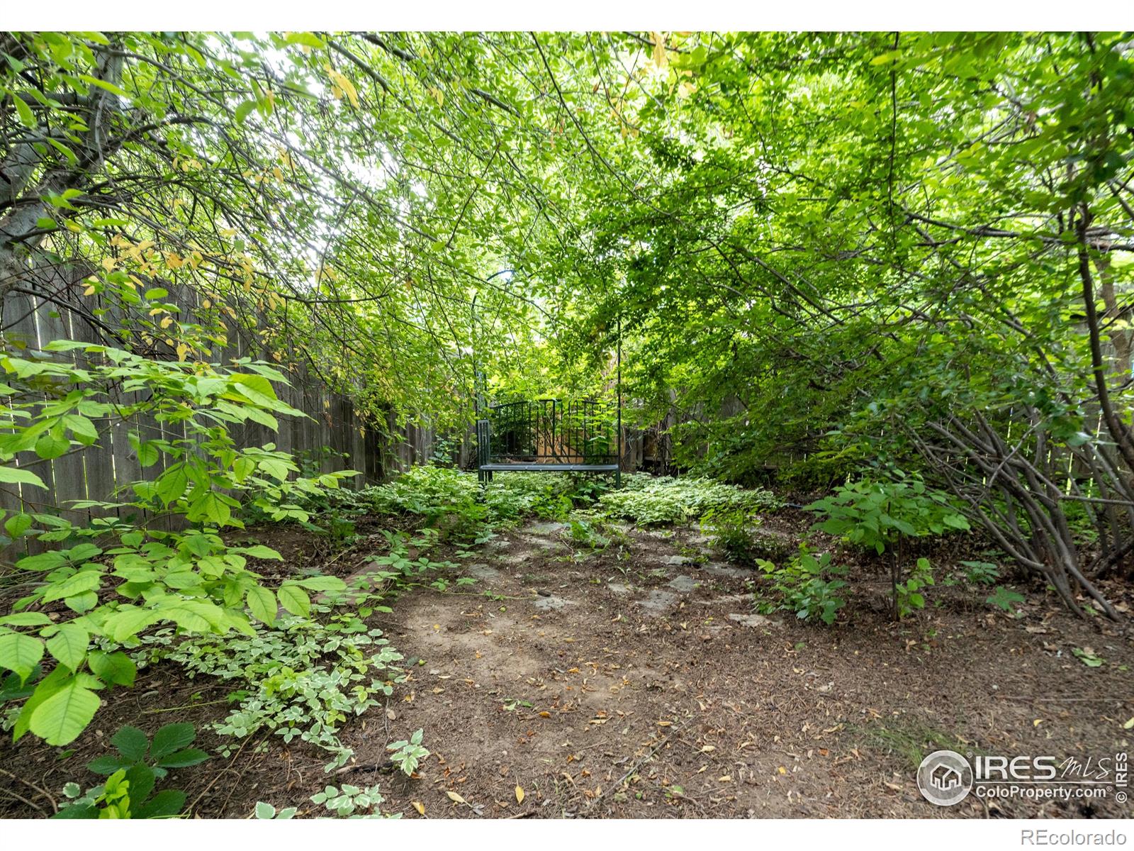 MLS Image #12 for 2926  brookwood place,fort collins, Colorado