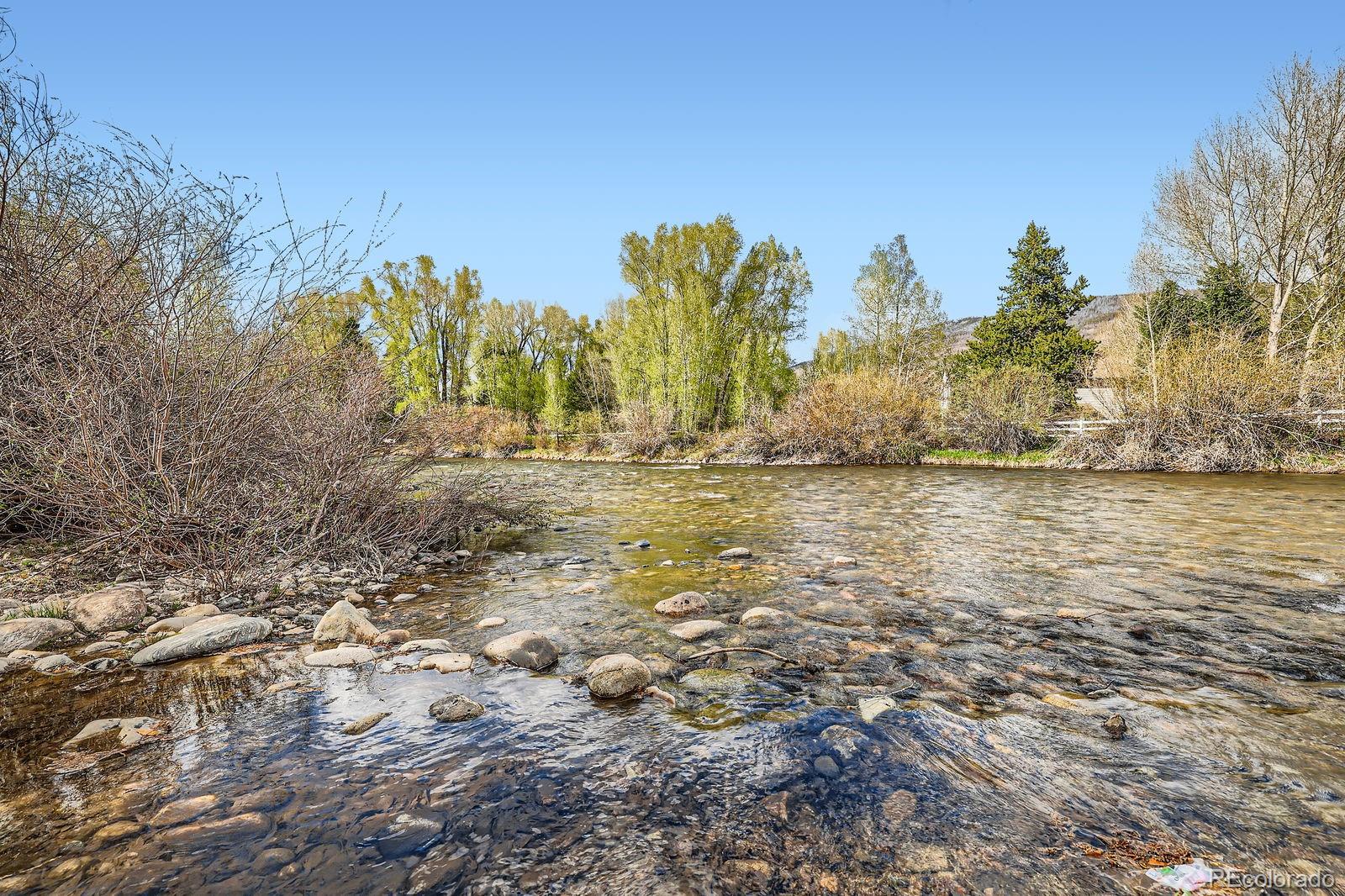 MLS Image #4 for 1090  blue river parkway,silverthorne, Colorado