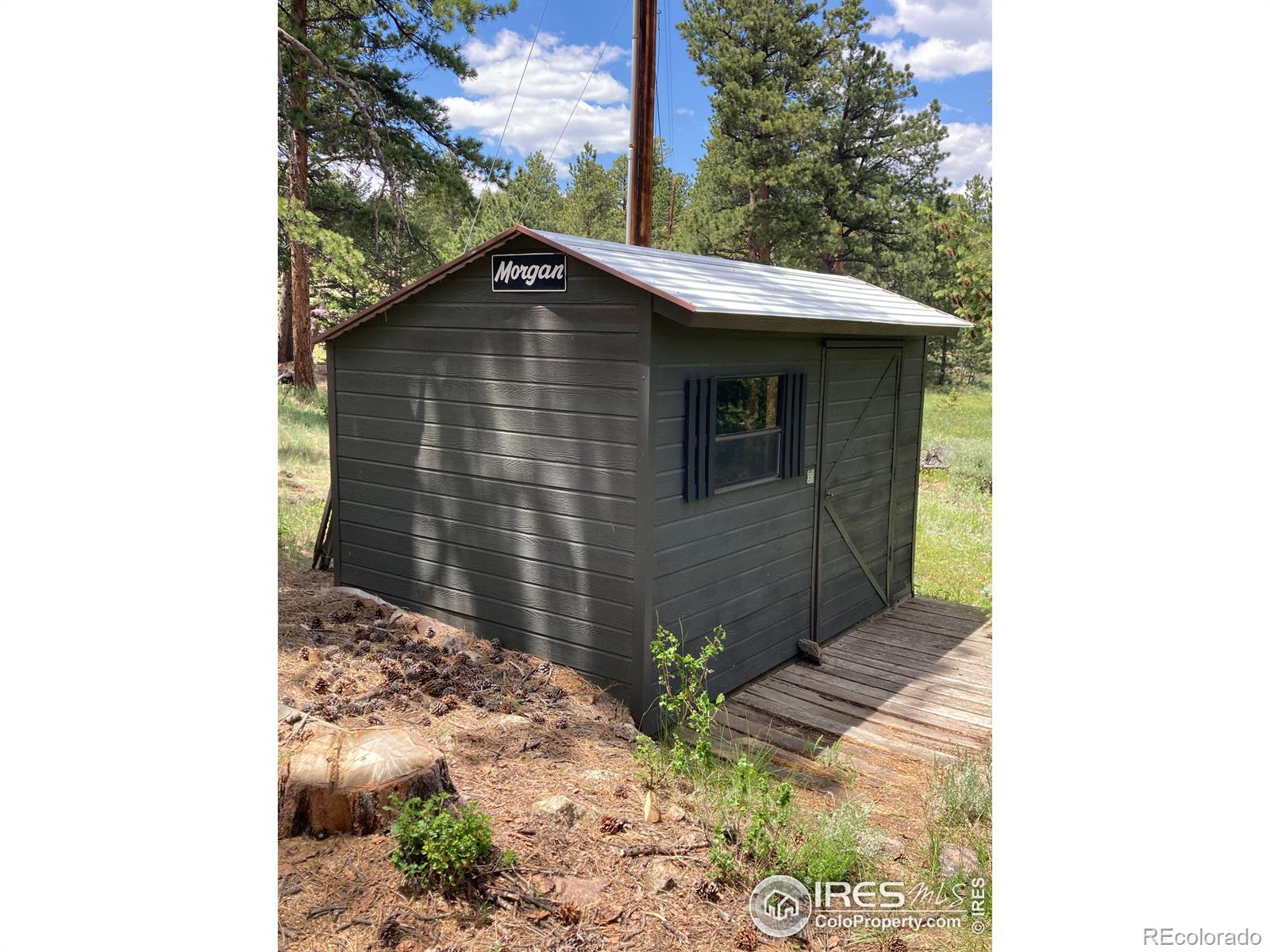 MLS Image #11 for 123  nokomis road,red feather lakes, Colorado
