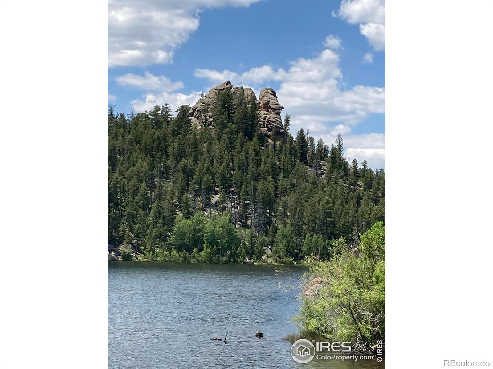 MLS Image #26 for 123  nokomis road,red feather lakes, Colorado