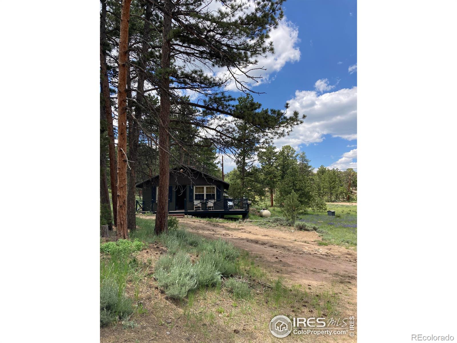 MLS Image #3 for 123  nokomis road,red feather lakes, Colorado