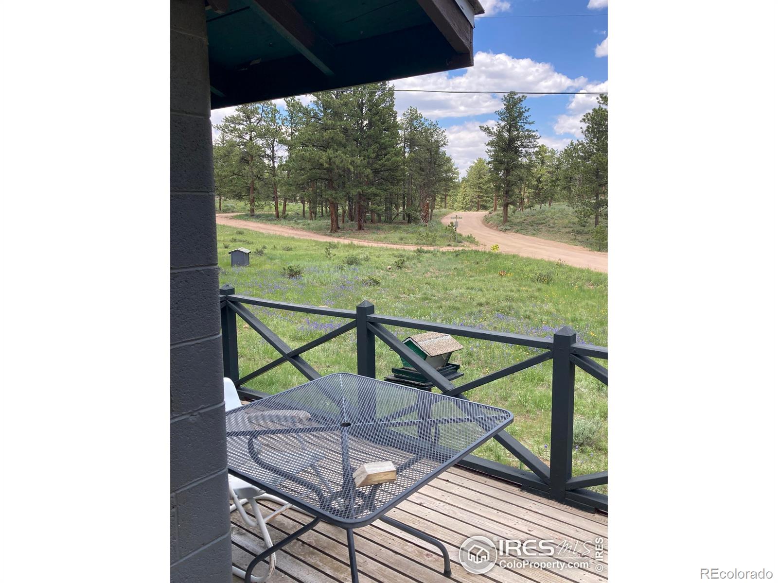 MLS Image #6 for 123  nokomis road,red feather lakes, Colorado