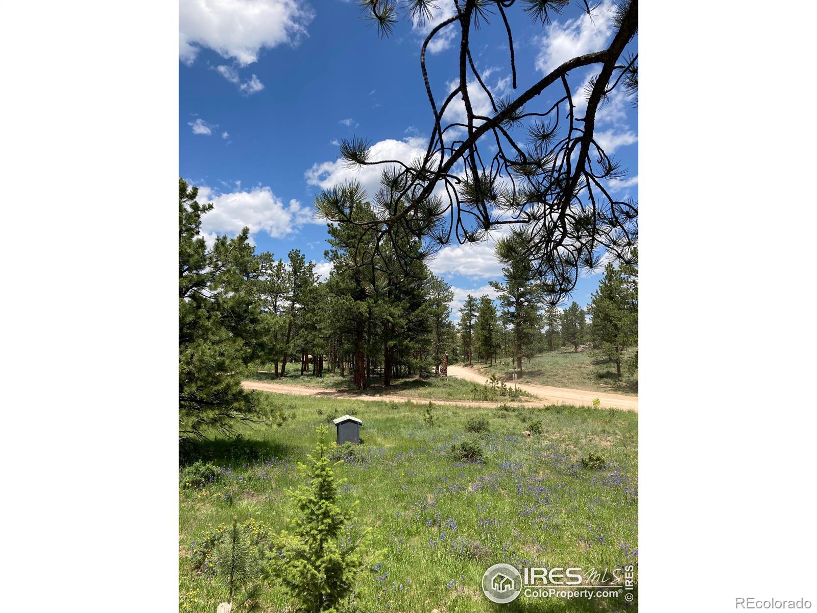 MLS Image #9 for 123  nokomis road,red feather lakes, Colorado