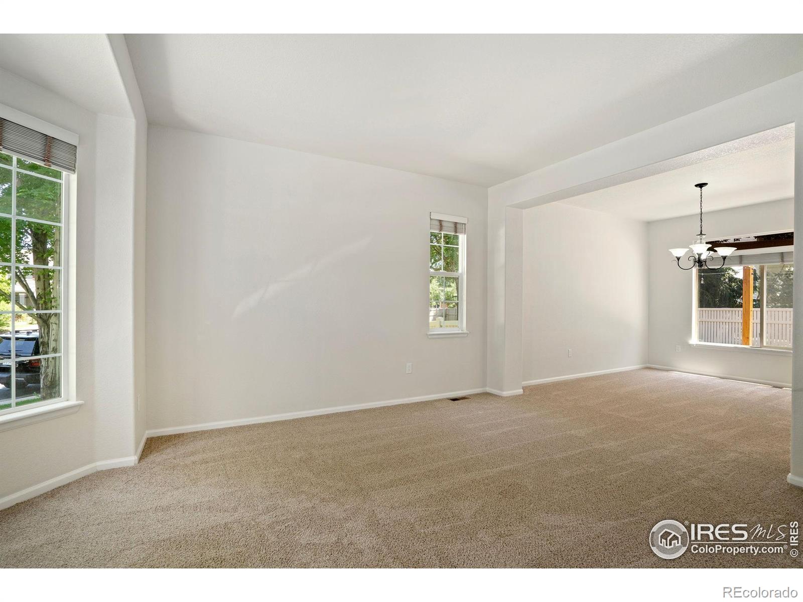 MLS Image #11 for 10216  sandy ridge court,firestone, Colorado
