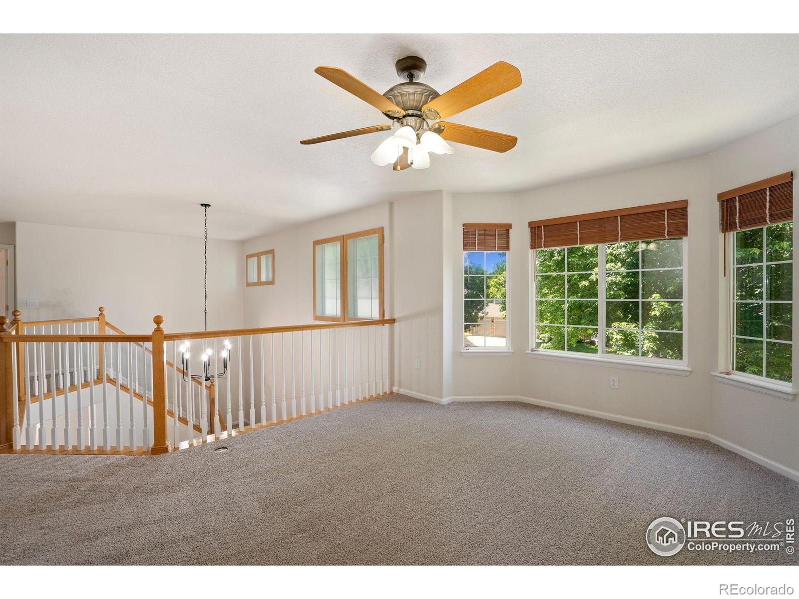 MLS Image #13 for 10216  sandy ridge court,firestone, Colorado