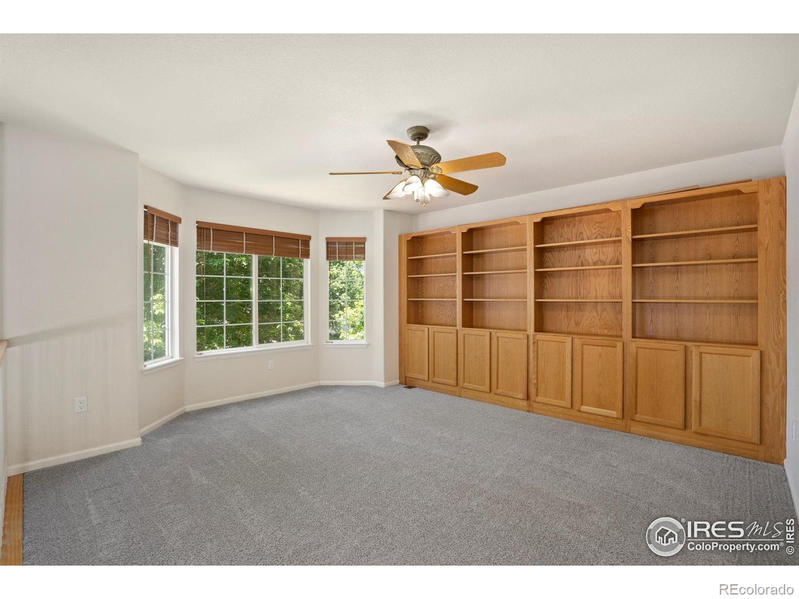 MLS Image #14 for 10216  sandy ridge court,firestone, Colorado