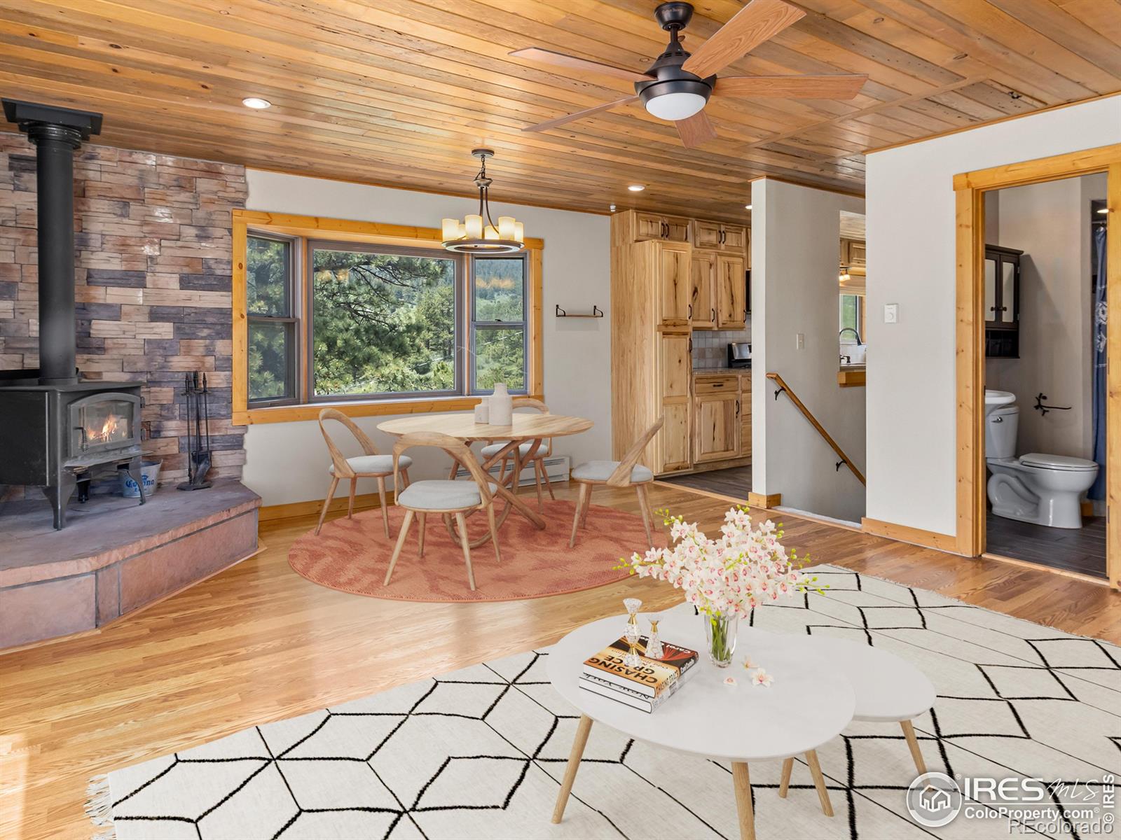 MLS Image #7 for 406  dunraven glade road,glen haven, Colorado