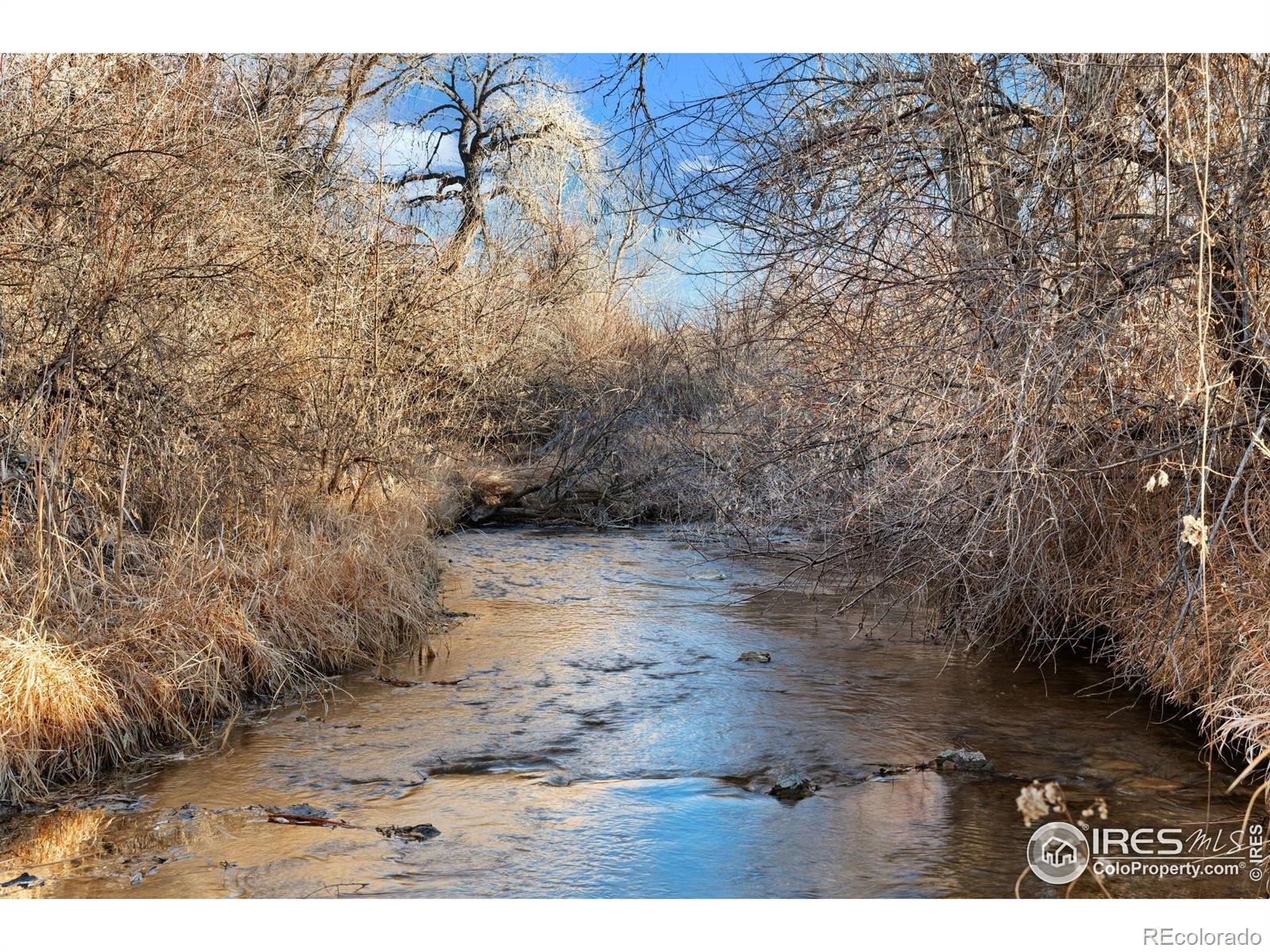 MLS Image #35 for 516 e county road 66e ,fort collins, Colorado