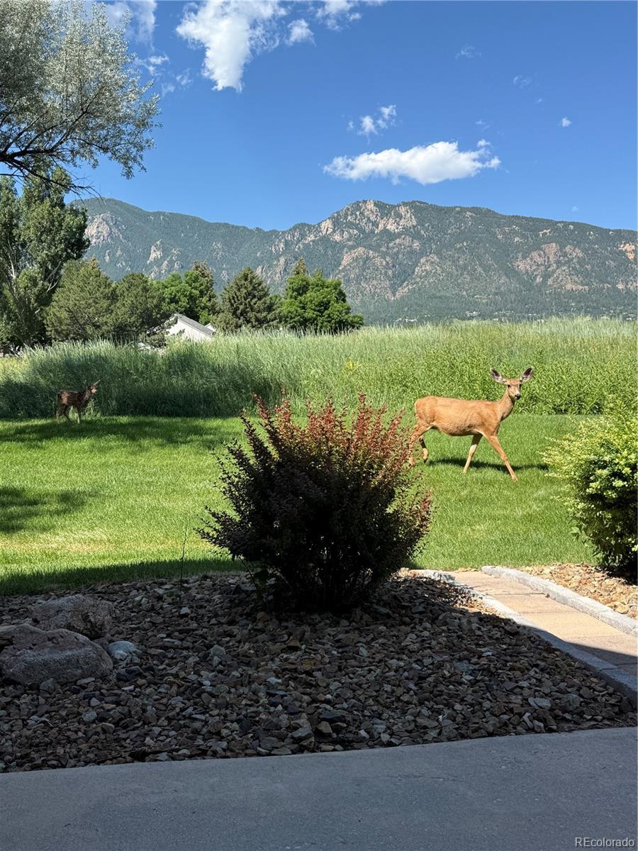 MLS Image #43 for 330  cobblestone drive,colorado springs, Colorado