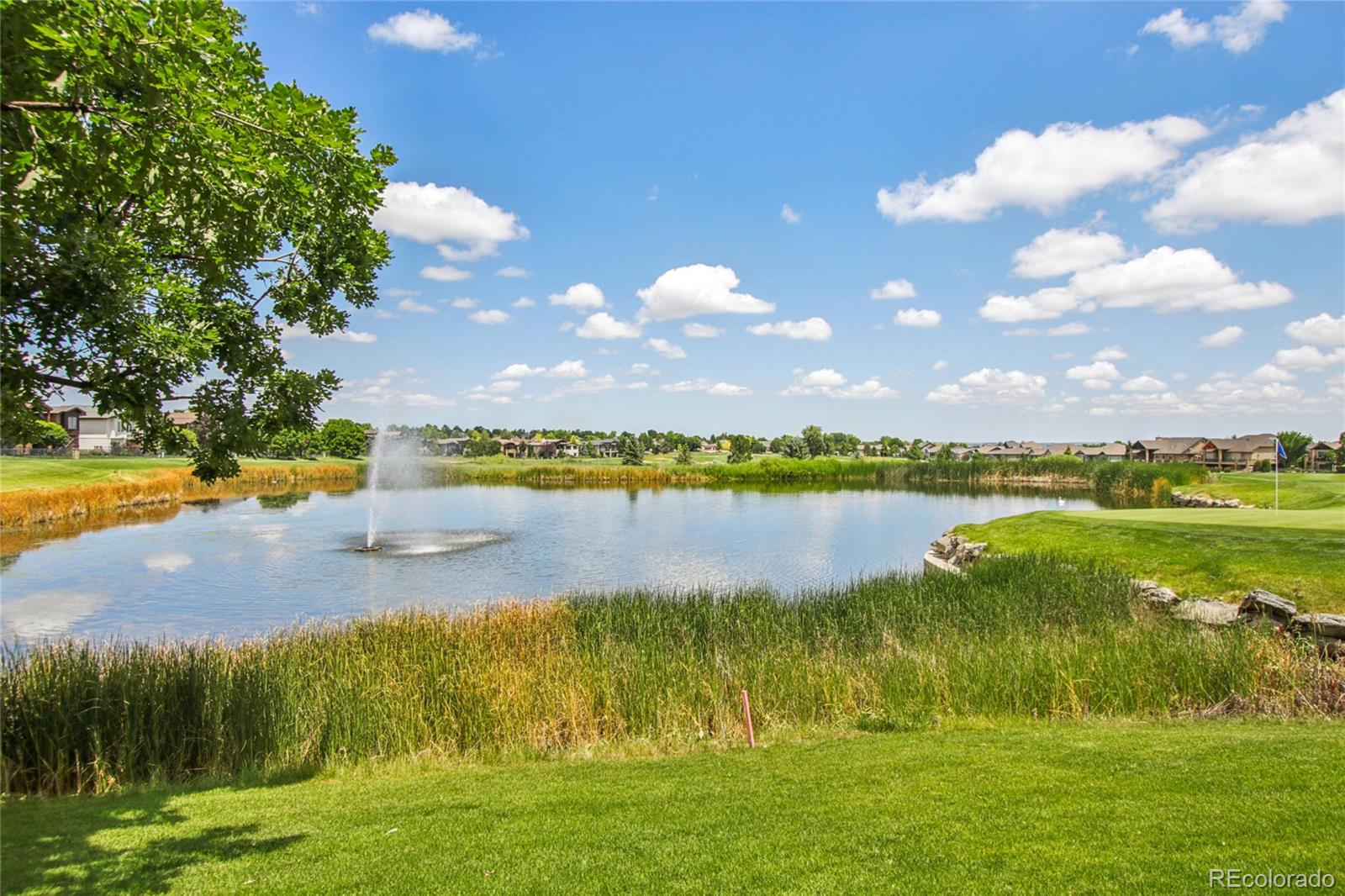 MLS Image #38 for 7258  spanish bay drive,windsor, Colorado