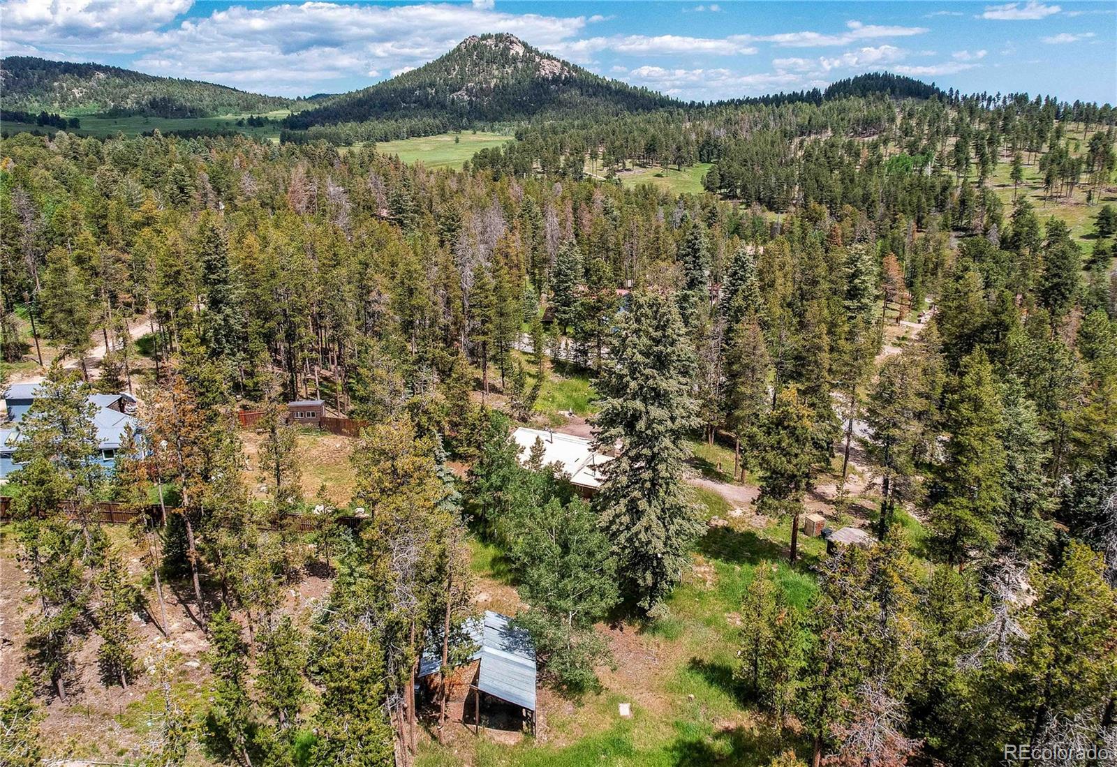 MLS Image #43 for 10893  milliken avenue,conifer, Colorado