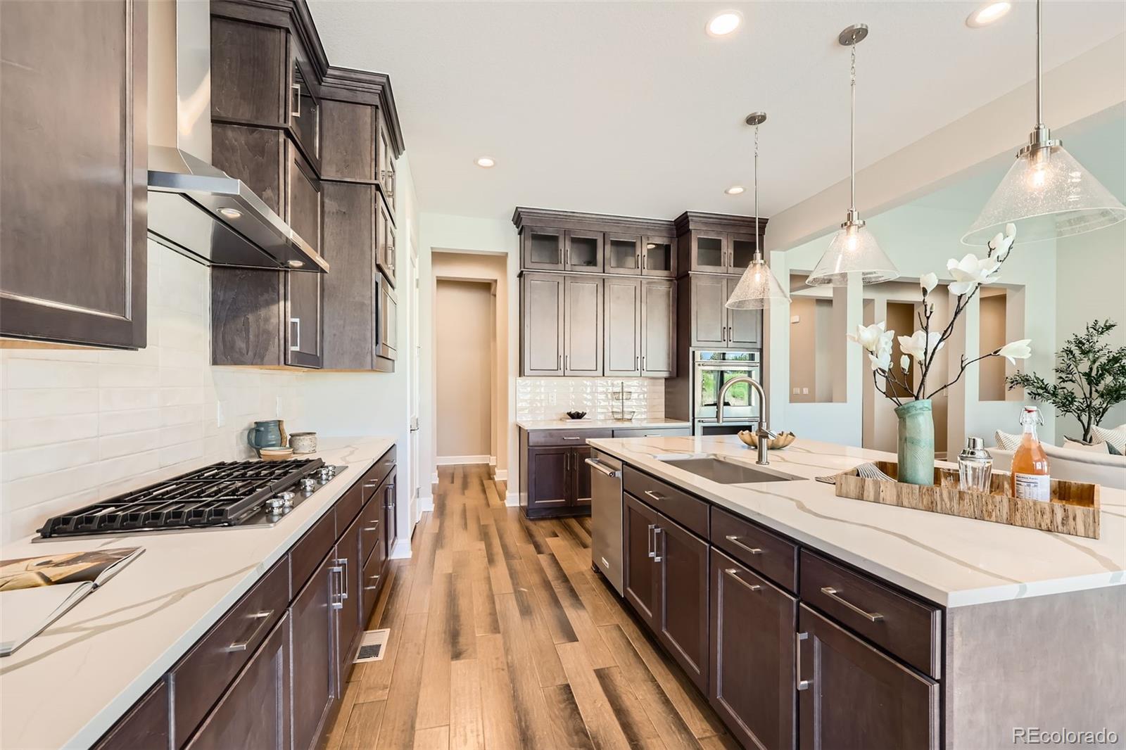MLS Image #9 for 574  agoseris way,castle rock, Colorado