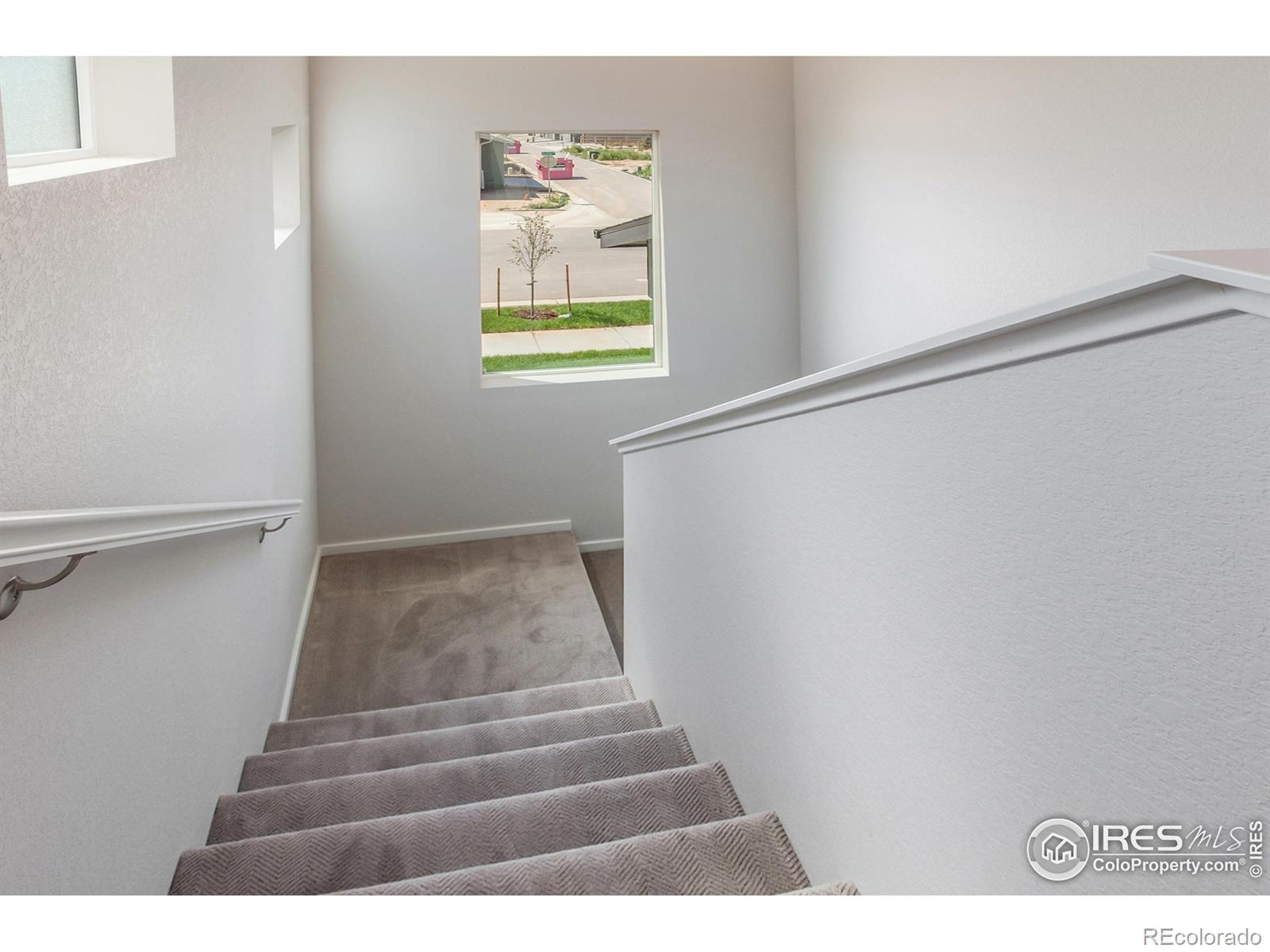 MLS Image #17 for 6116  dutch drive,timnath, Colorado