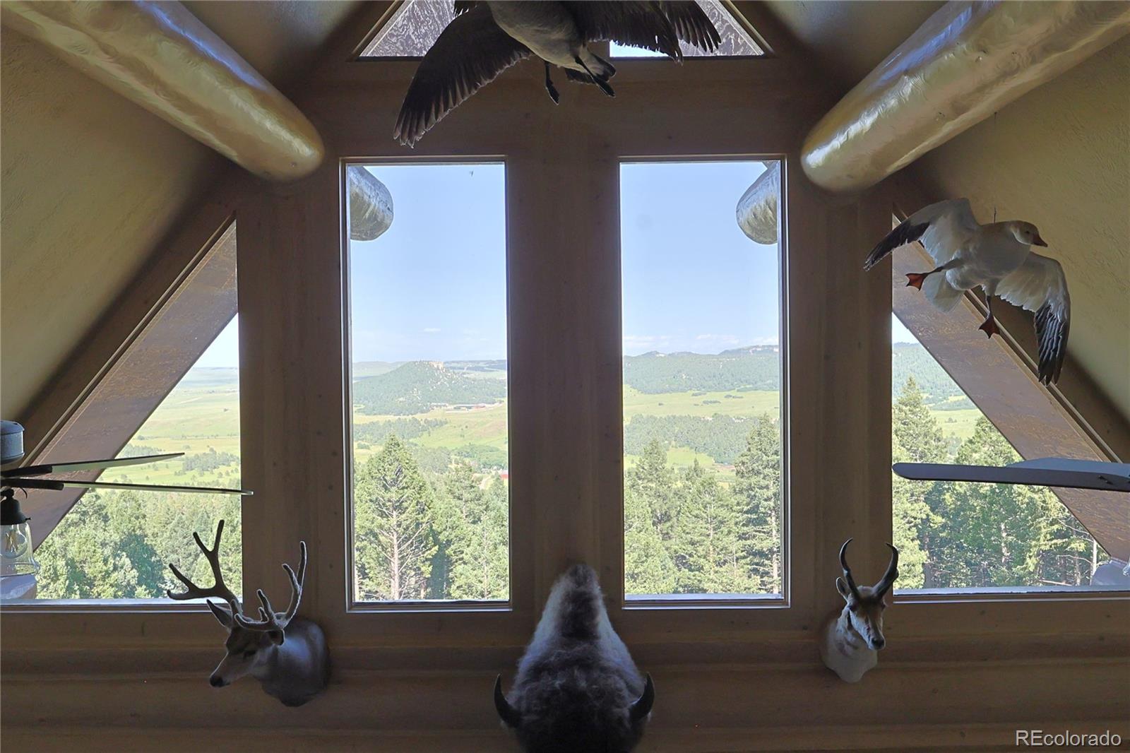 MLS Image #21 for 13525  woodmoor west drive,larkspur, Colorado