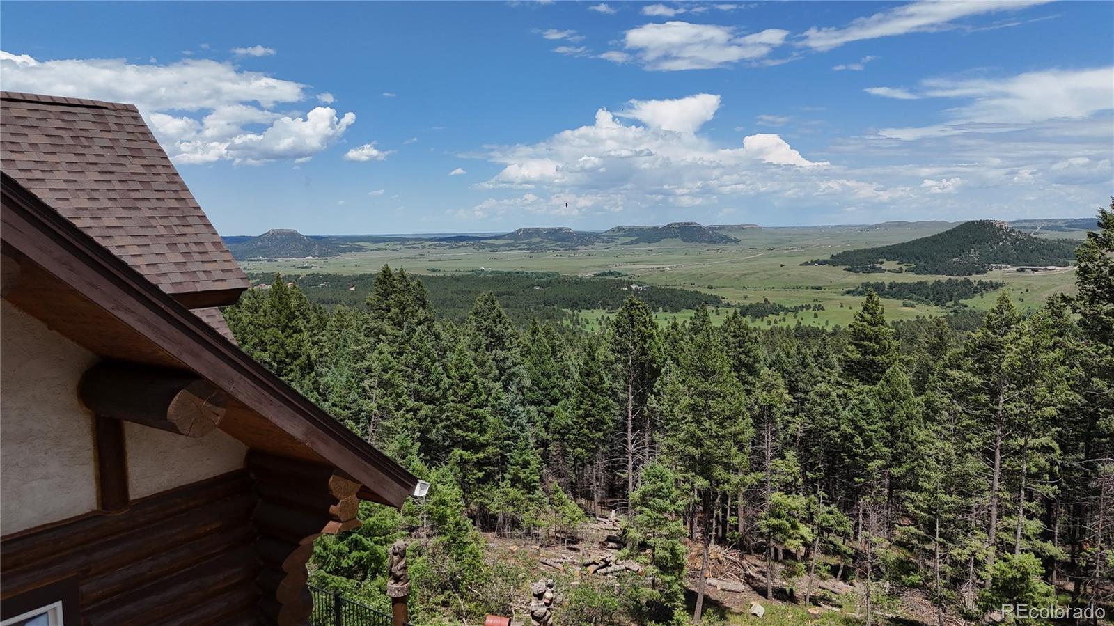 MLS Image #3 for 13525  woodmoor west drive,larkspur, Colorado