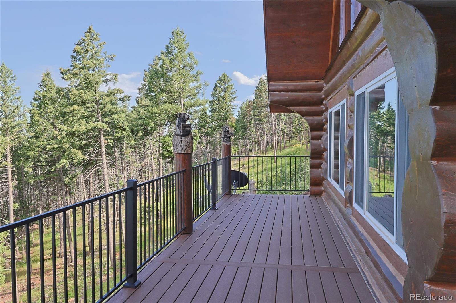 MLS Image #42 for 13525  woodmoor west drive,larkspur, Colorado