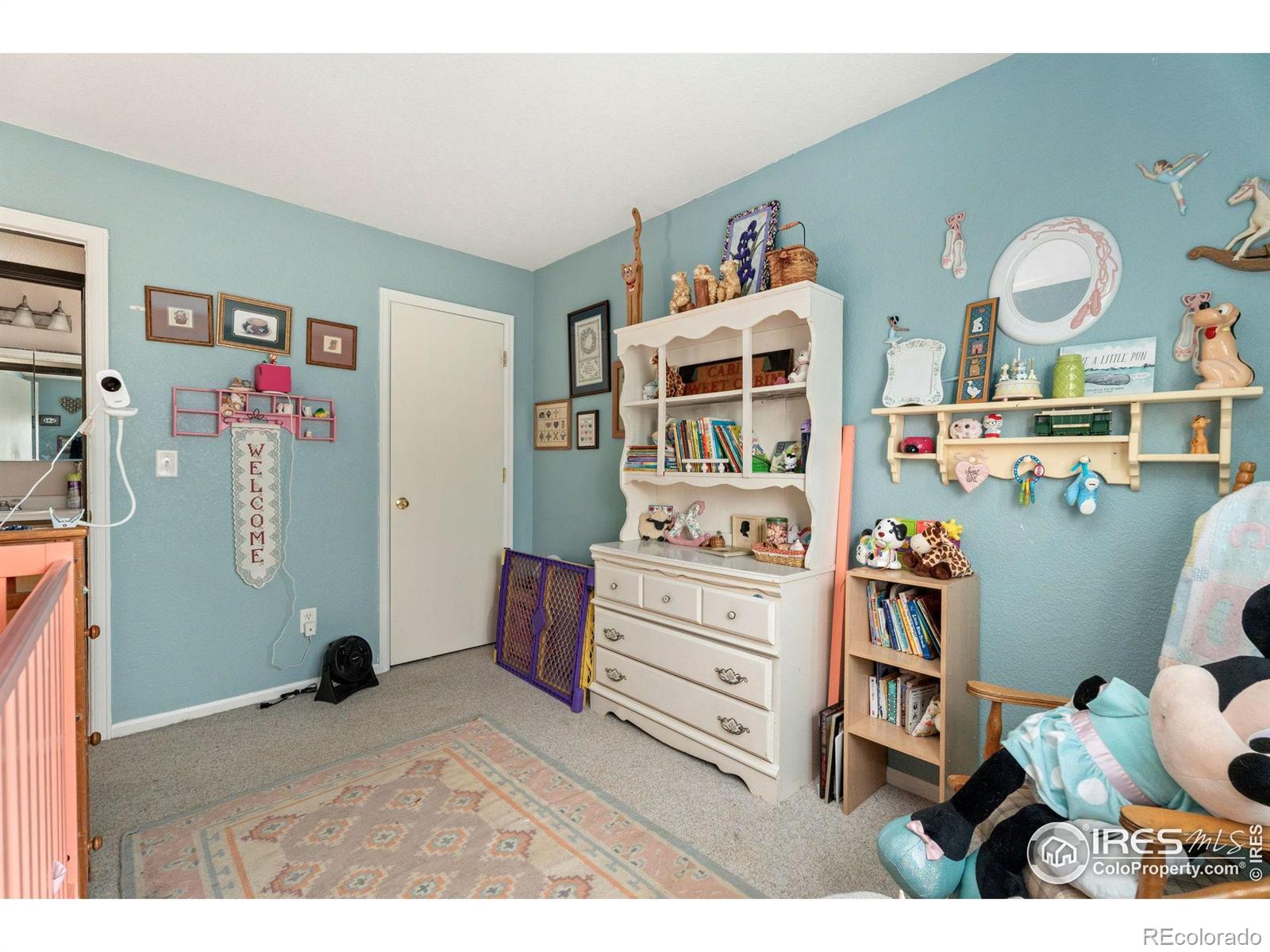 MLS Image #17 for 1214  gaelic place,fort collins, Colorado