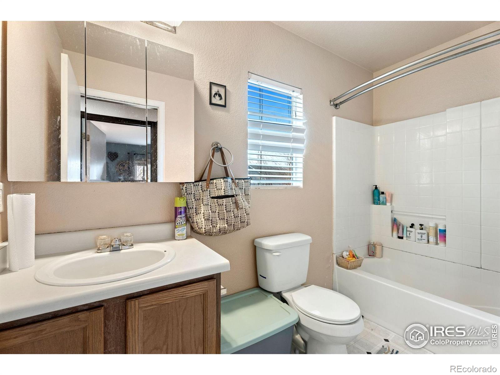 MLS Image #18 for 1214  gaelic place,fort collins, Colorado