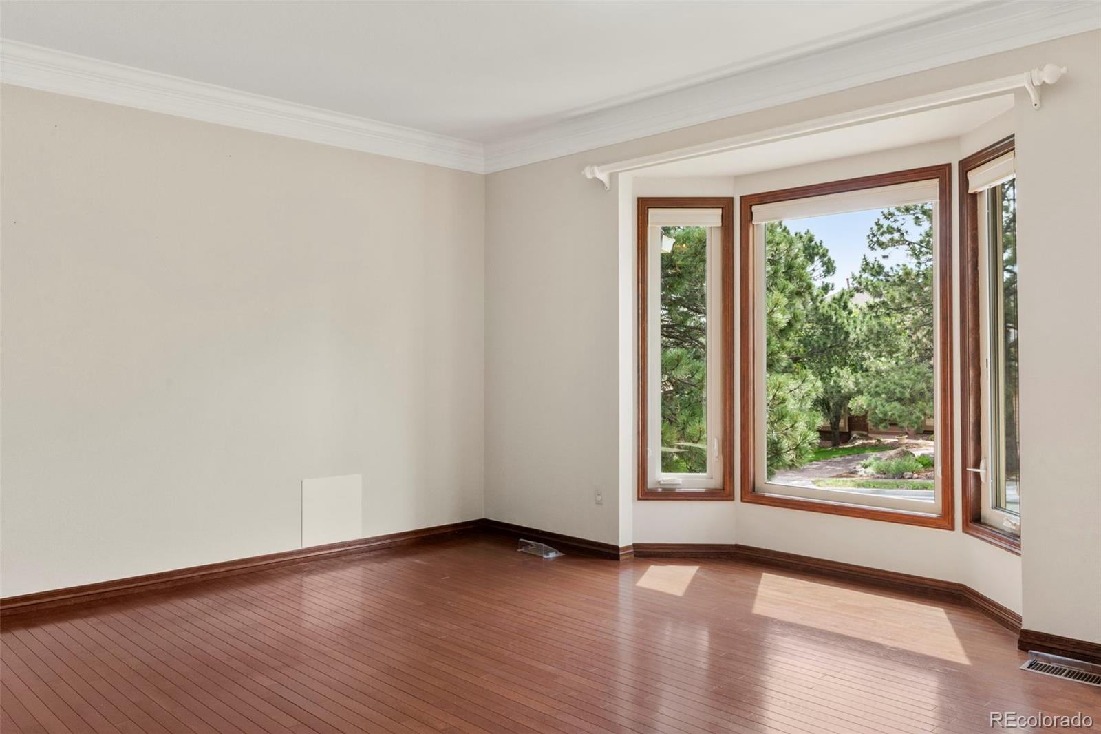 MLS Image #11 for 4520  star ranch road,colorado springs, Colorado