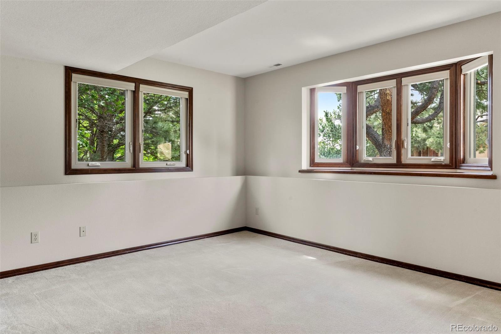MLS Image #22 for 4520  star ranch road,colorado springs, Colorado