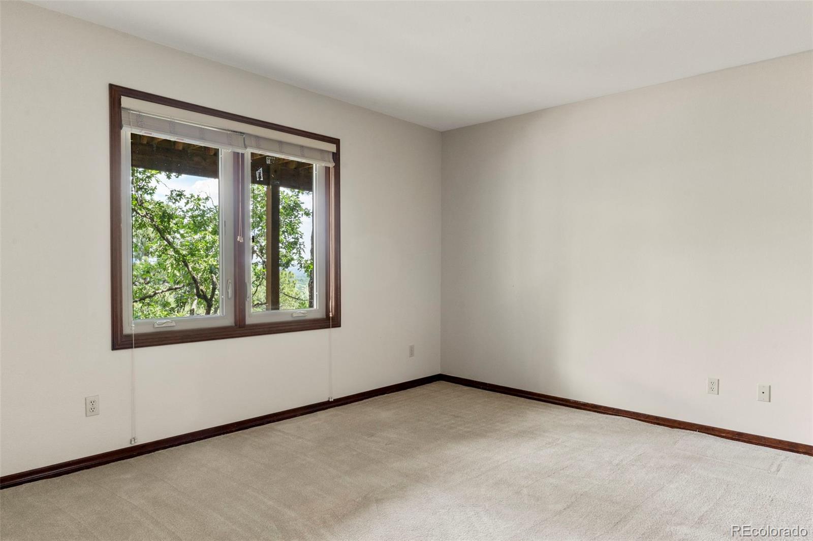 MLS Image #25 for 4520  star ranch road,colorado springs, Colorado