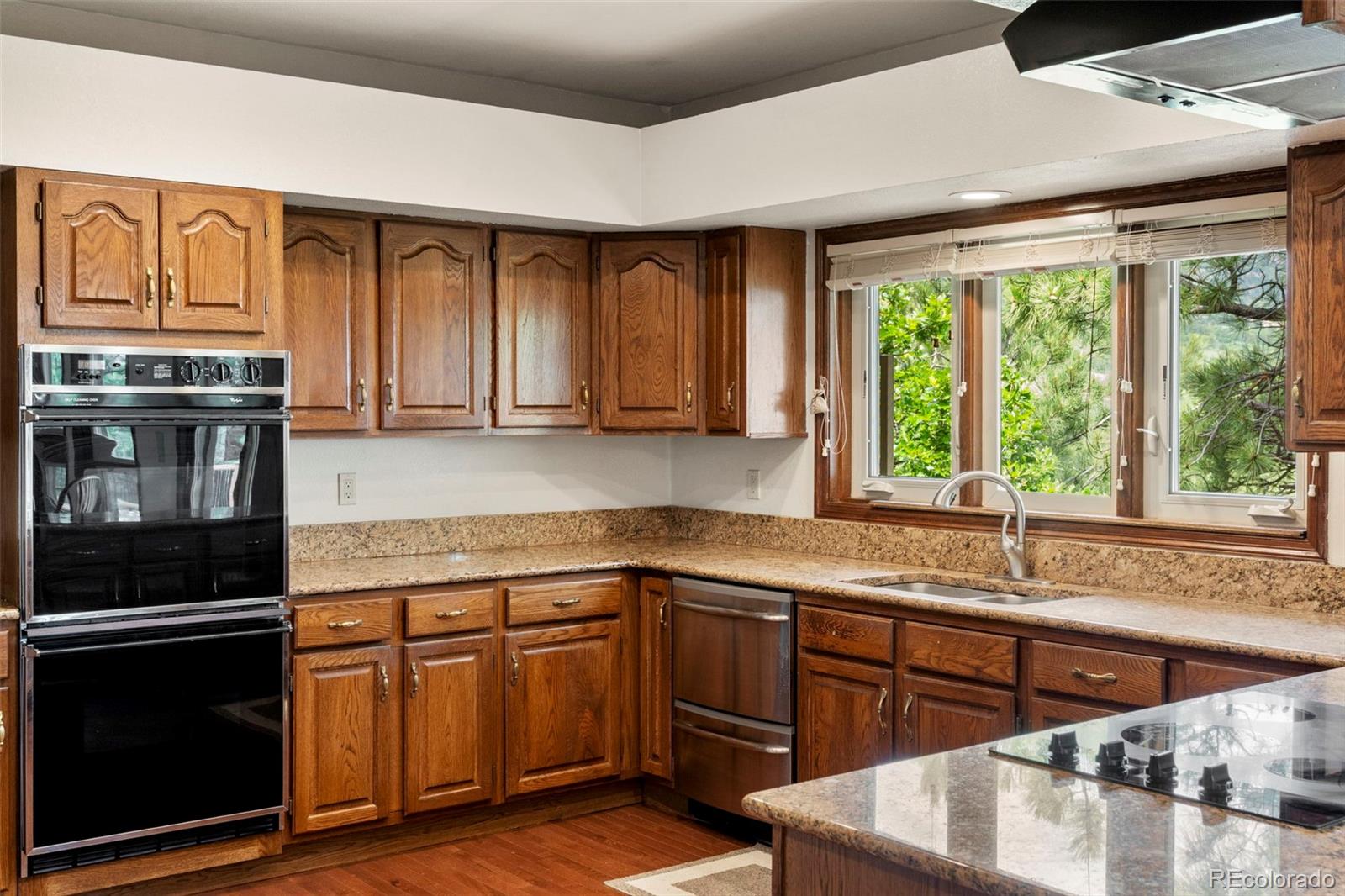 MLS Image #7 for 4520  star ranch road,colorado springs, Colorado