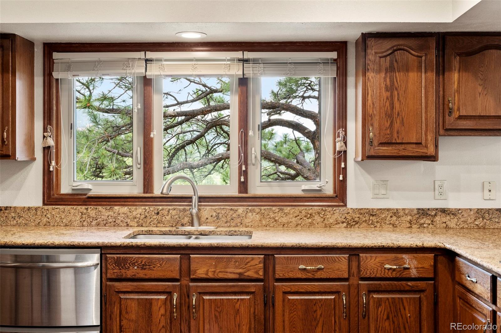 MLS Image #9 for 4520  star ranch road,colorado springs, Colorado