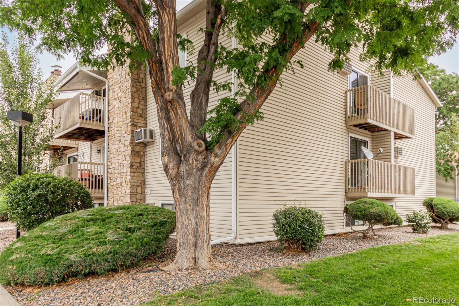 MLS Image #24 for 381 s ames street,lakewood, Colorado